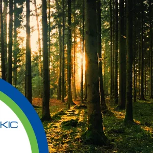Eit climate kic forestry