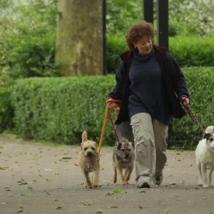 Petplan1