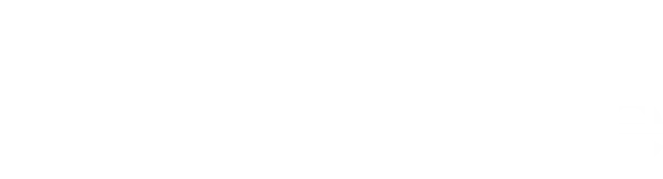 Lifetime white logo