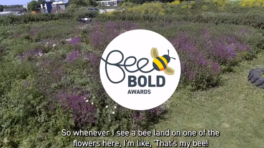 Bee Bold Awards 2022 film for WECA - Floating Harbour Bristol and South West