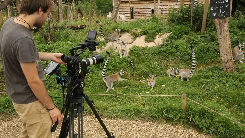 Still from Summer Wild Place Project Ad TV commercial - Floating Harbour film production