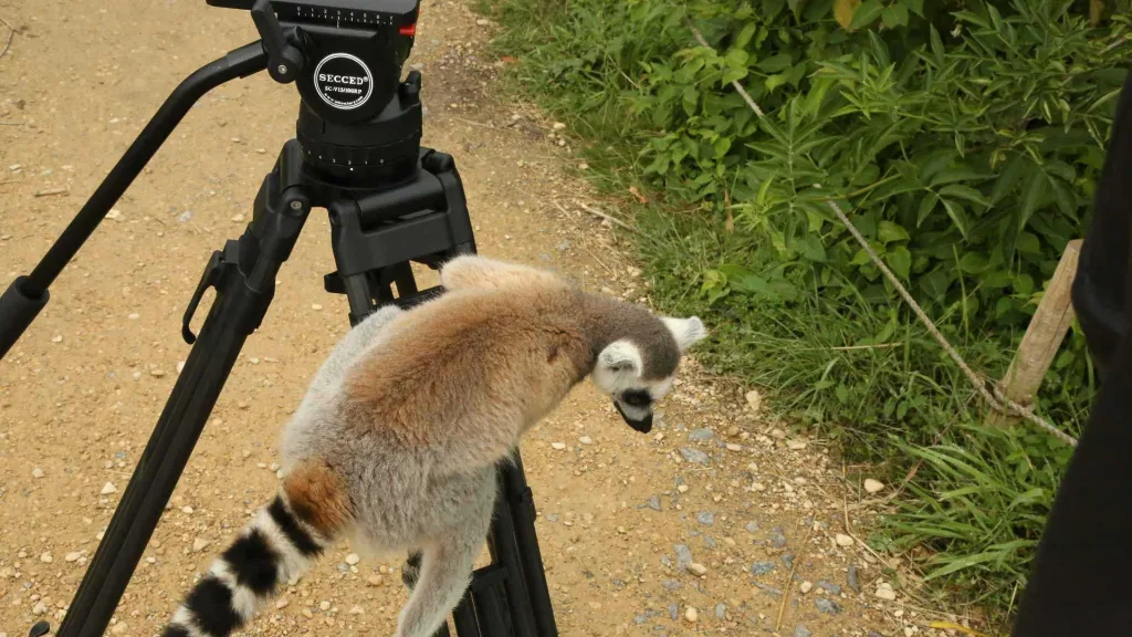 Summer Wild Place Project Ad TV commercial - Floating Harbour Bristol and South West