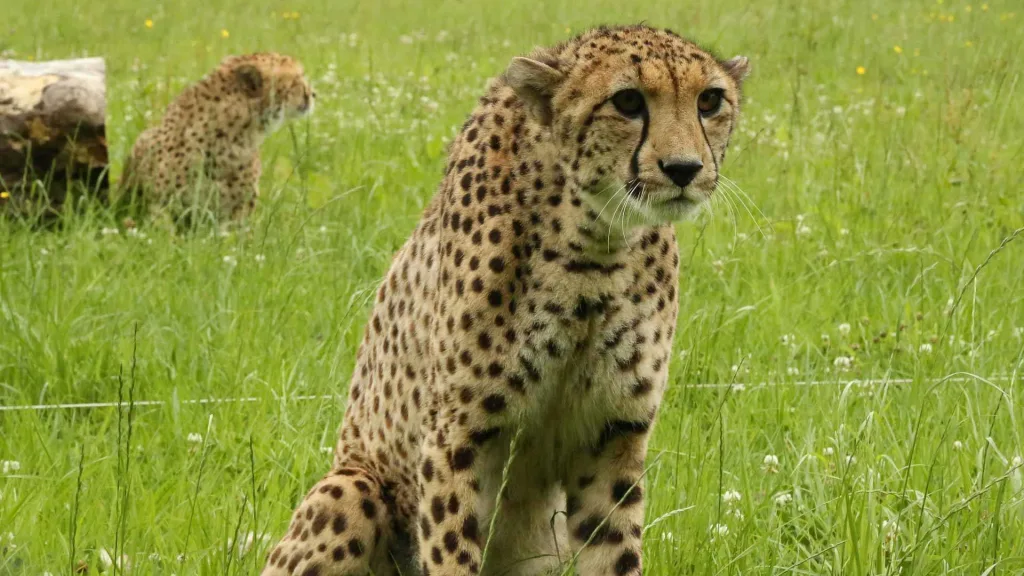 Brand Film Services - Floating Harbour, Bristol