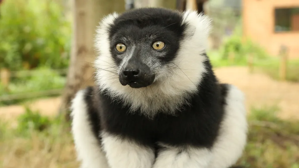 Summer Wild Place Project Ad - TV commercial - Floating Harbour Bristol