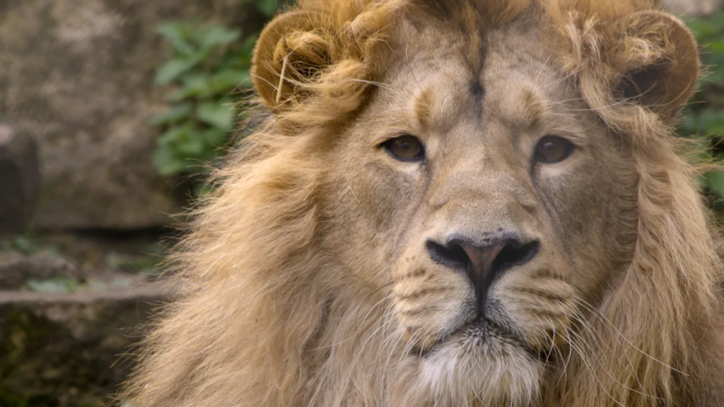 Master 00001407 still004 1 w1920