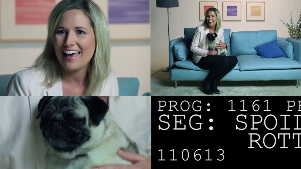 Who are we talking to? film for Pet Plan - Floating Harbour Bristol