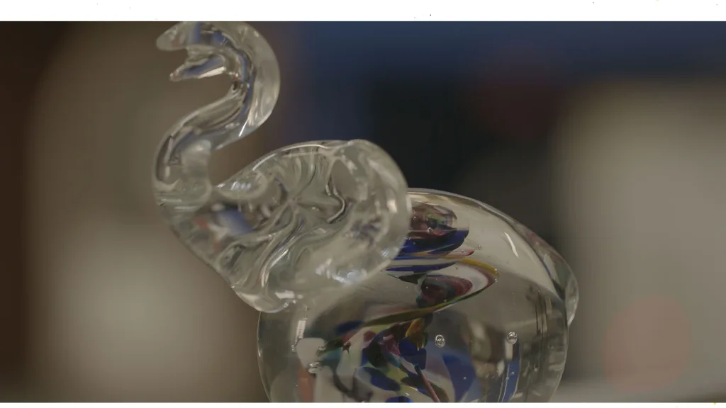 Sirona Awards for Excellence - case study film - Floating Harbour Bristol