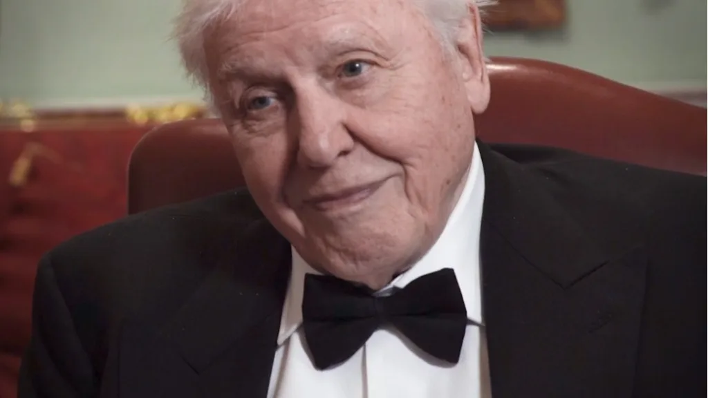 Alumni Films - University Of Bristol - Floating Harbour Bristol