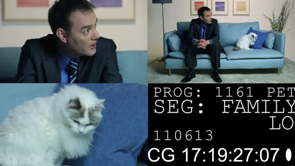 Petplan customer profiling film sequence showing a man on a sofa with a white cat during a scripted interview, filmed by Floating Harbour
