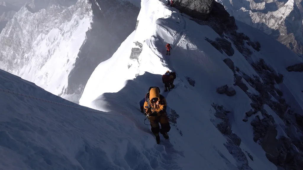 UP ON A LIMB 15 00119331