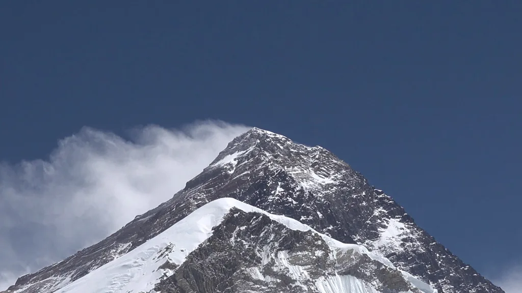 UP ON A LIMB 1 00094412