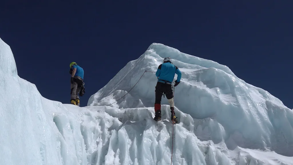 UP ON A LIMB 3 00095838