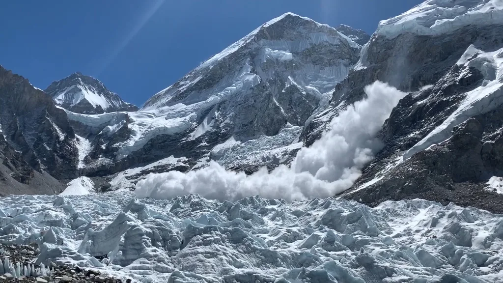 UP ON A LIMB 4 00096830