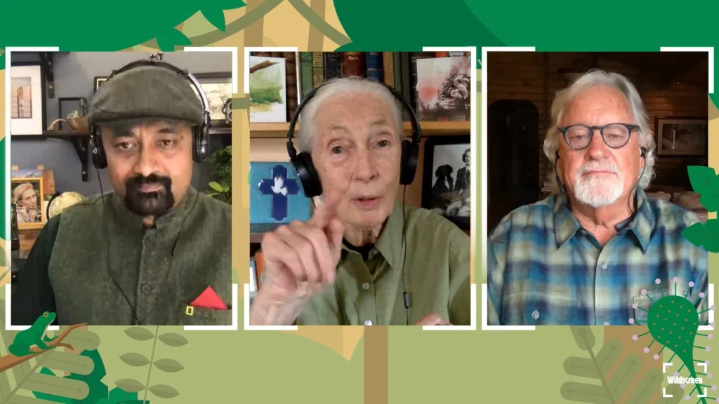 Wildscreen Festival 2020 film for Wildcreen Festival - Floating Harbour Bristol