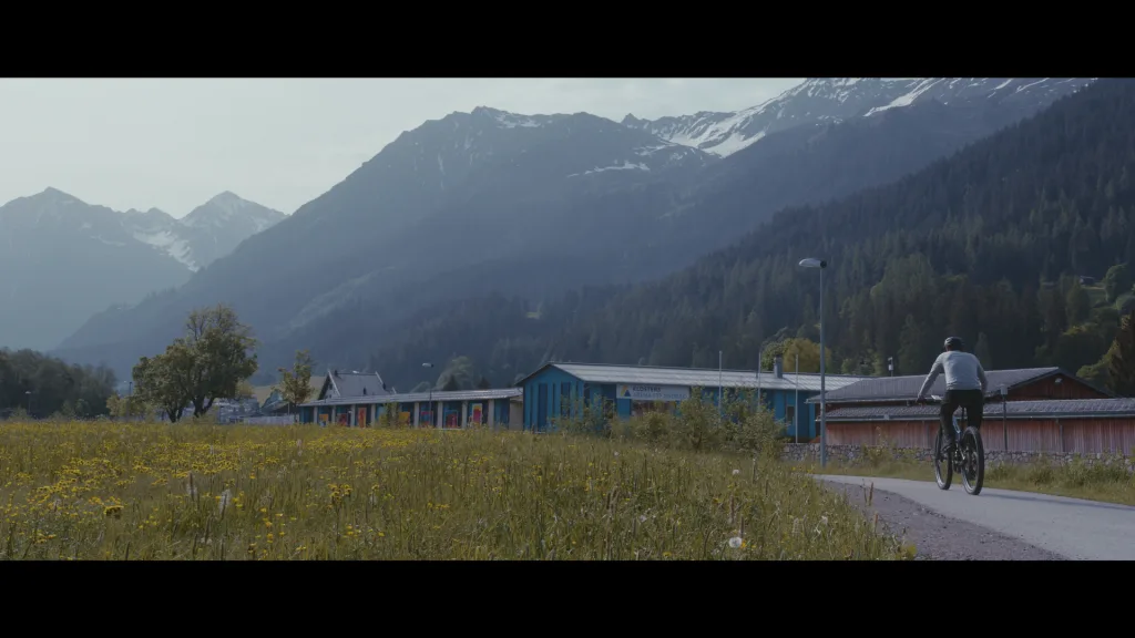 A person cycles through a field of flowers in the alps