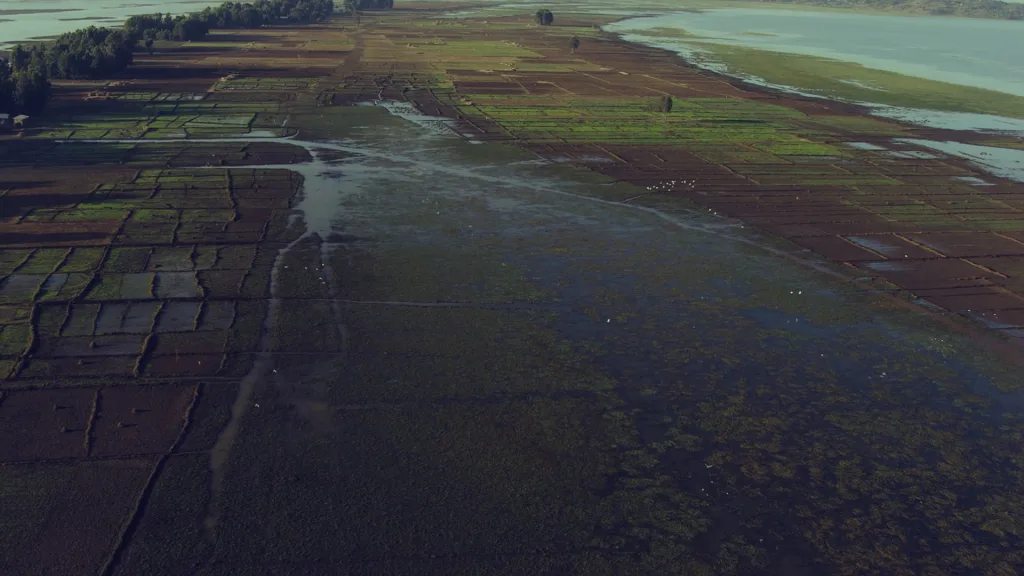 Ardc refugees and the sdgs 50mbpsmp4 00000222still001 w1920