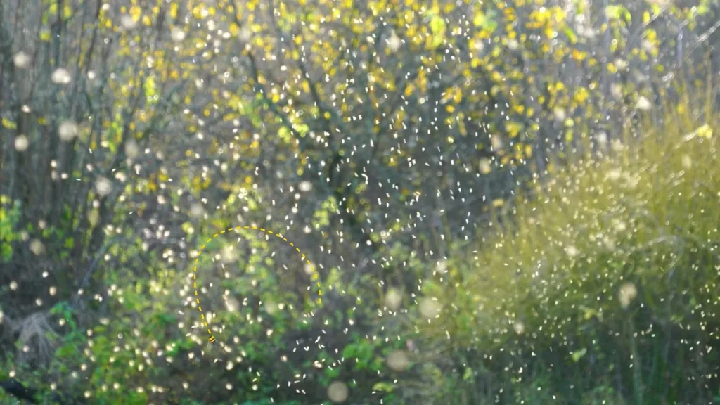 Still from Bee Bold Awards, film for WECA - Floating Harbour film production