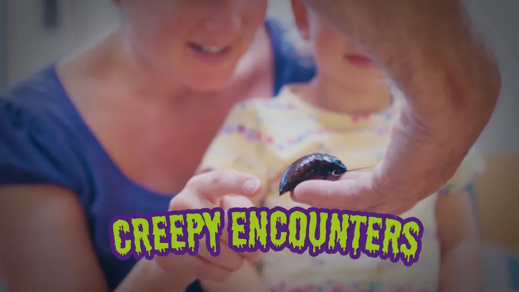 Halloween Advert - Bristol Zoo TV commercial - Floating Harbour Bristol and South West