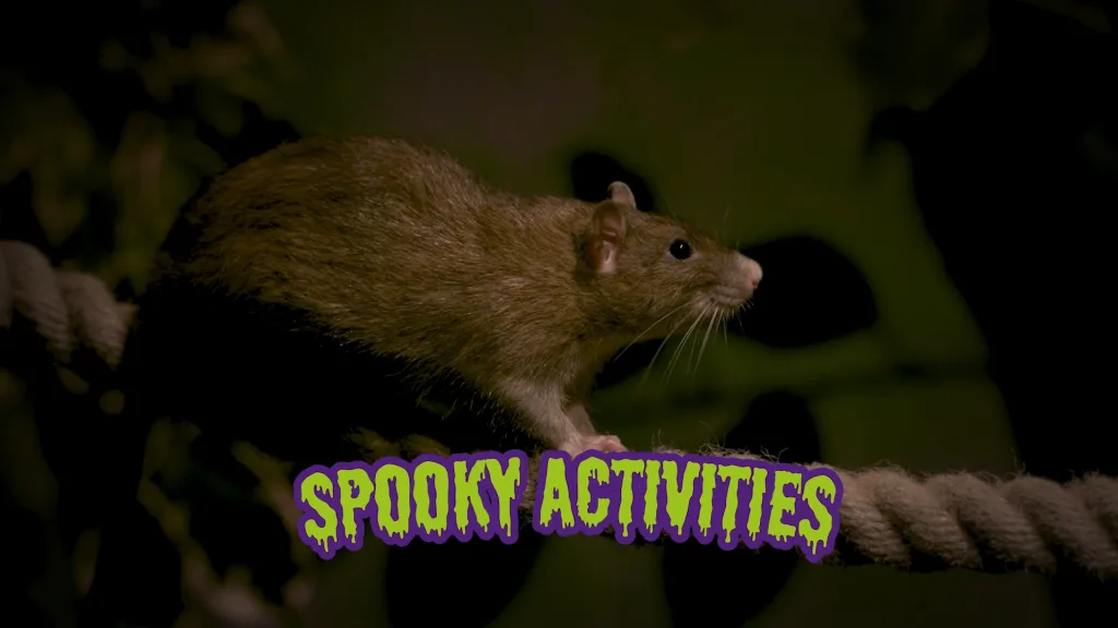 Halloween Advert TV commercial for Bristol Zoo - Floating Harbour Bristol