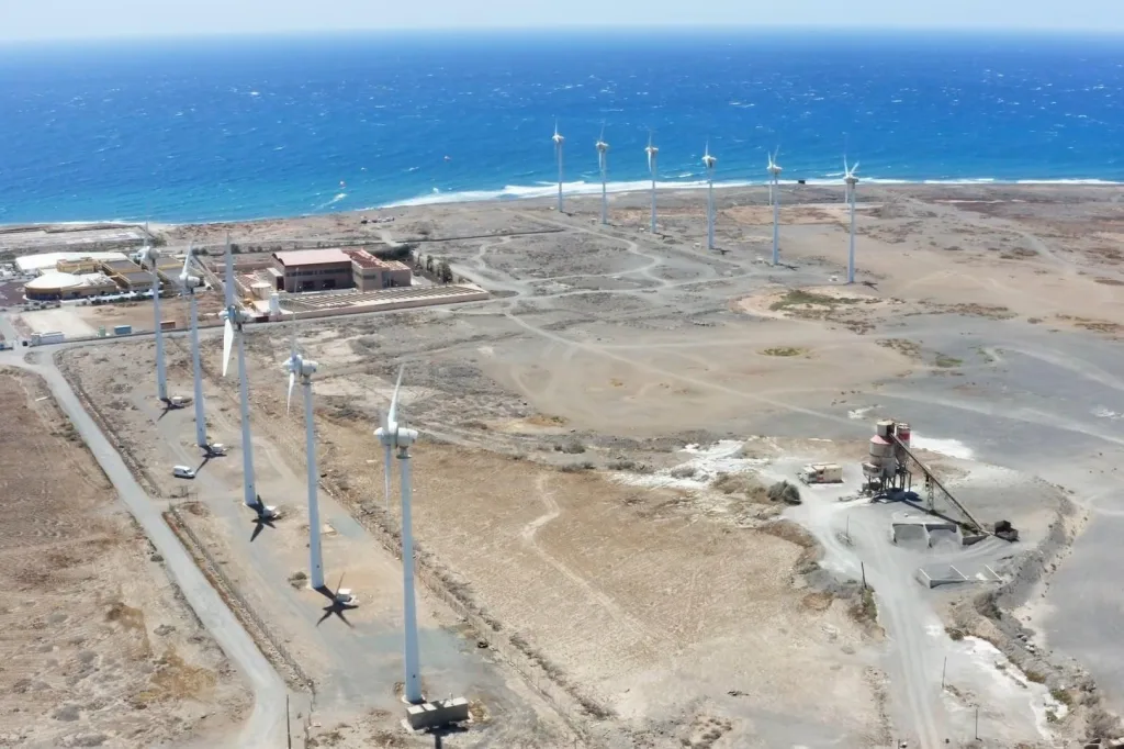 Businesses & Organisations