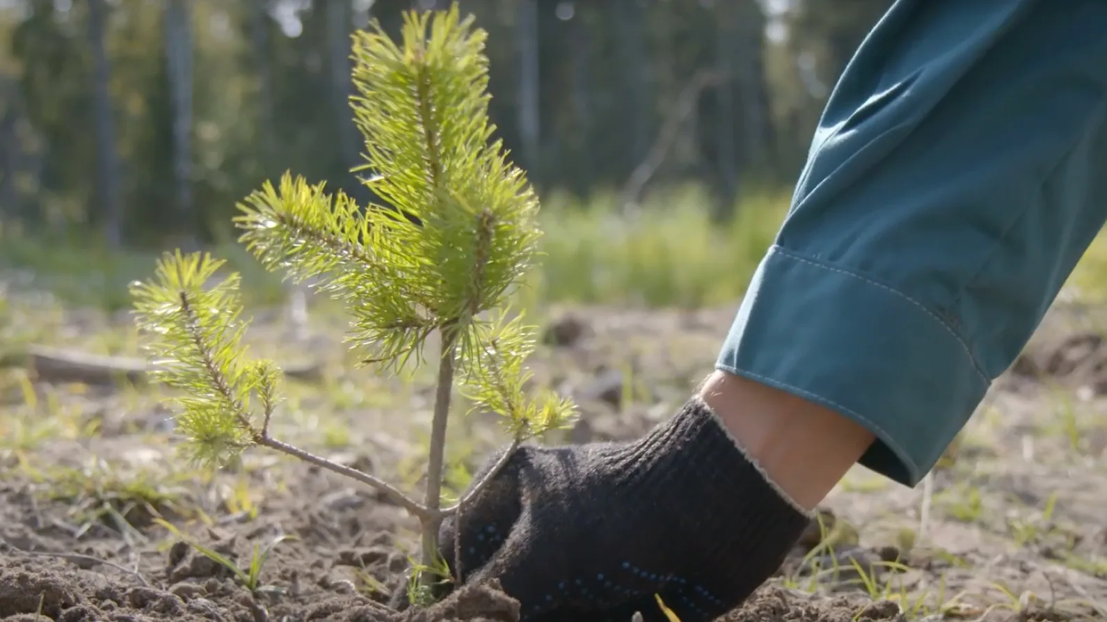 Film & Video Production - Floating Harbour Bristol