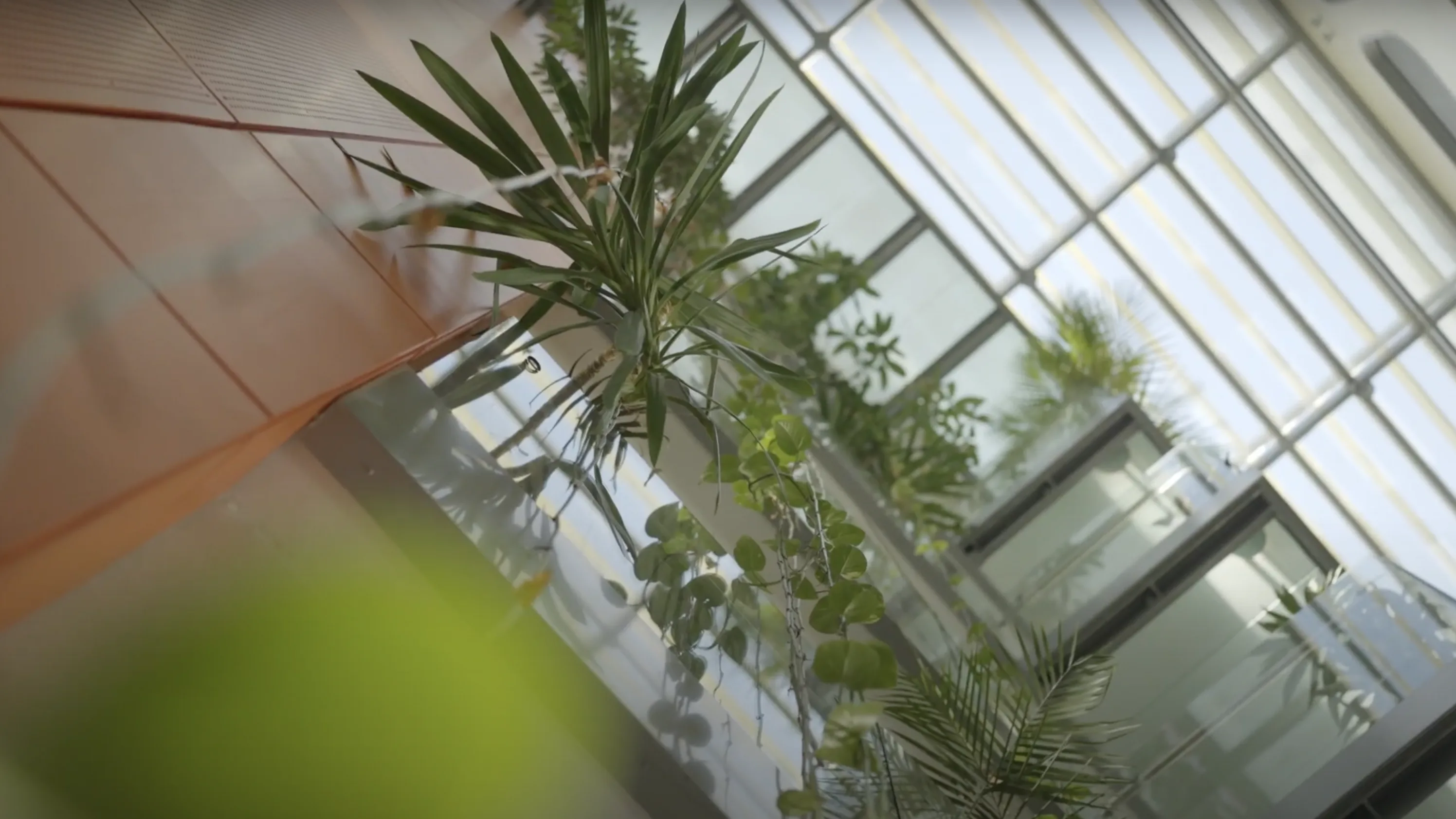 Climate Change And The Environment film - Floating Harbour Bristol and South West