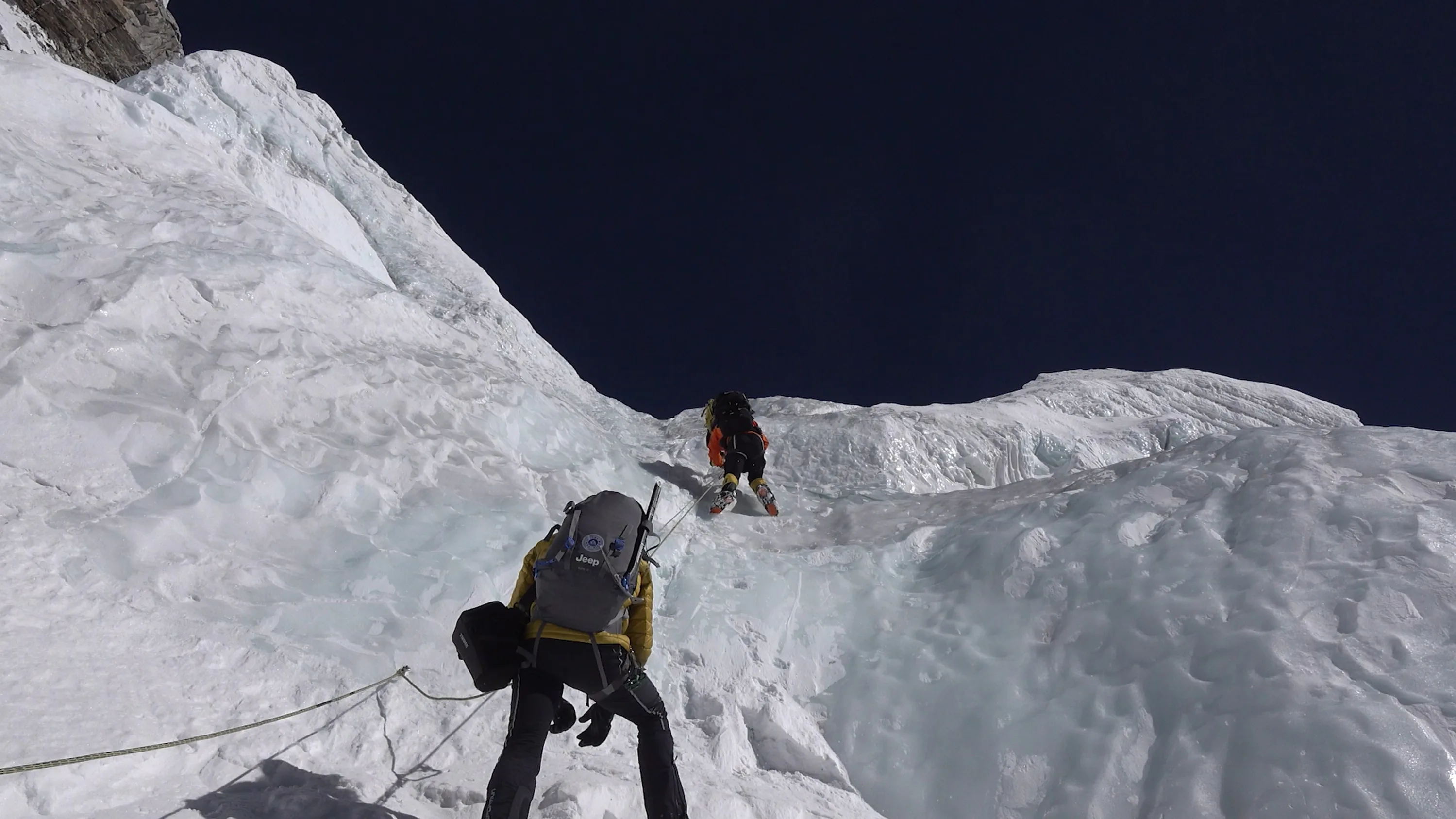 UP ON A LIMB 9 00105253