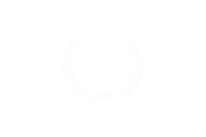 5 United Nations emblem white logo