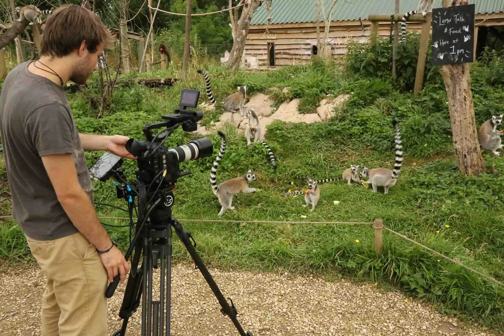 Still from Summer Wild Place Project Ad TV commercial - Floating Harbour film production