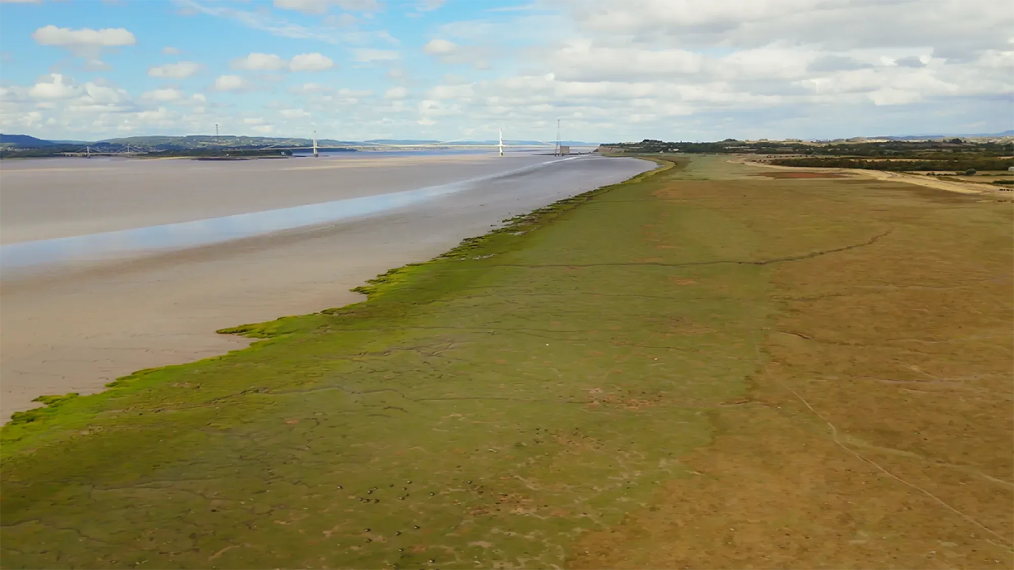 South Gloucesteshire Nature 4