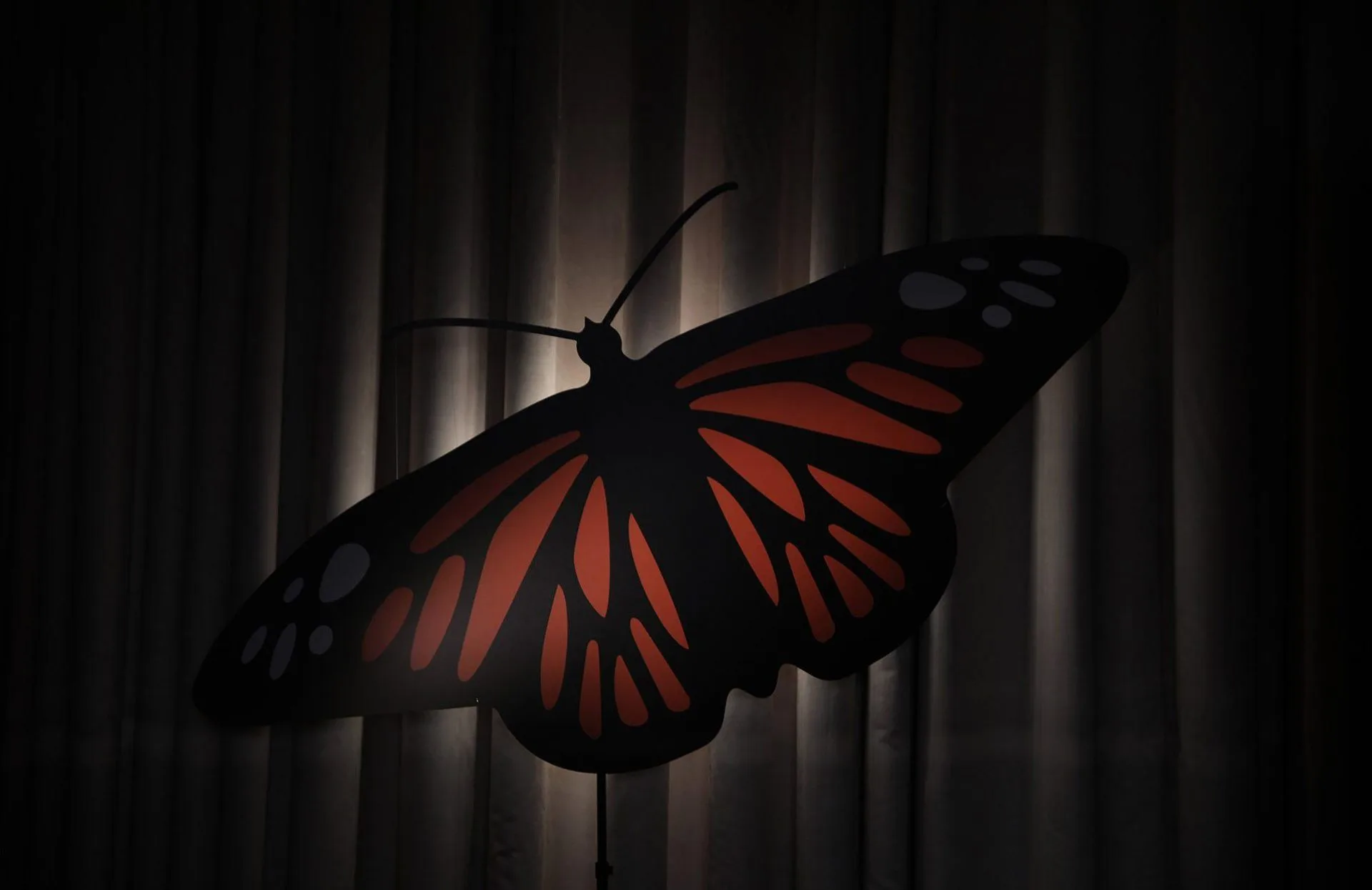 Butterfly still whitley awards live streamed virtual event w1920