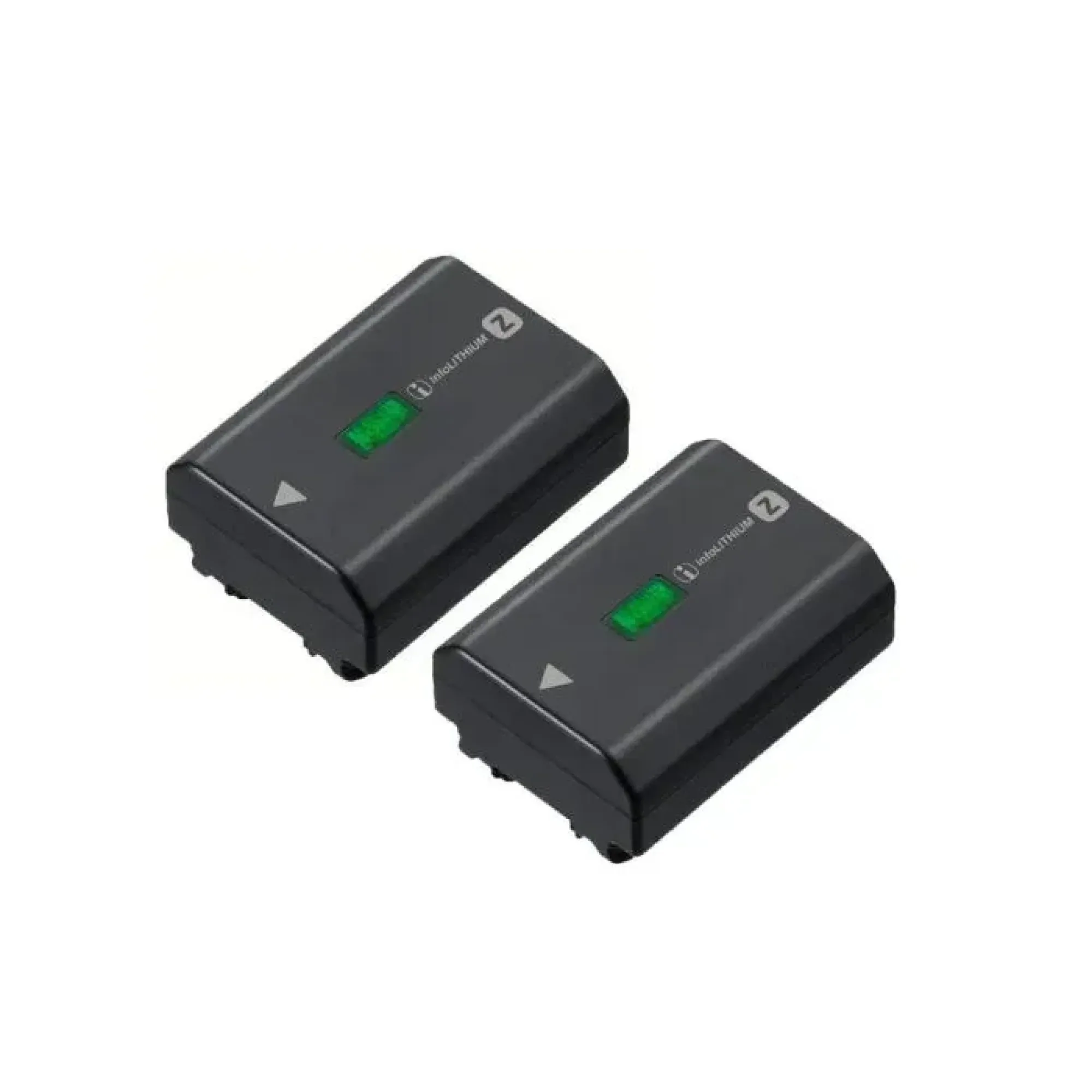 Np fz100 2 twinpack 1