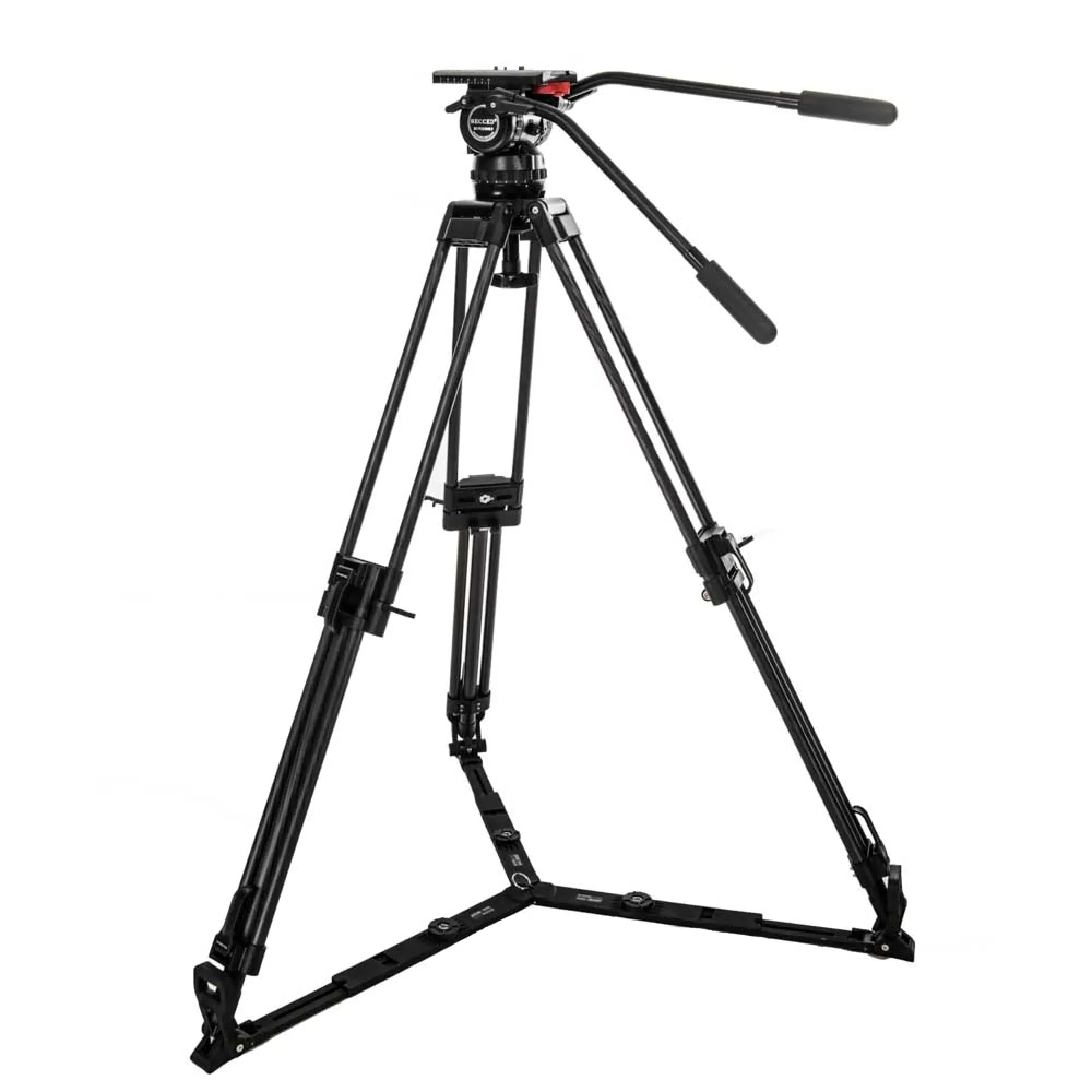 Reach plus 3 cf 1